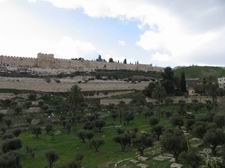 Золоті ворота Єрусалима: Вигляд з Оливної гори