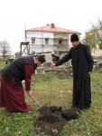 Архієпископ Луцький і Волинський Михаїл закладає фруктовий сад у жидичинському монастирі. Світлина прот. Віталія Собка